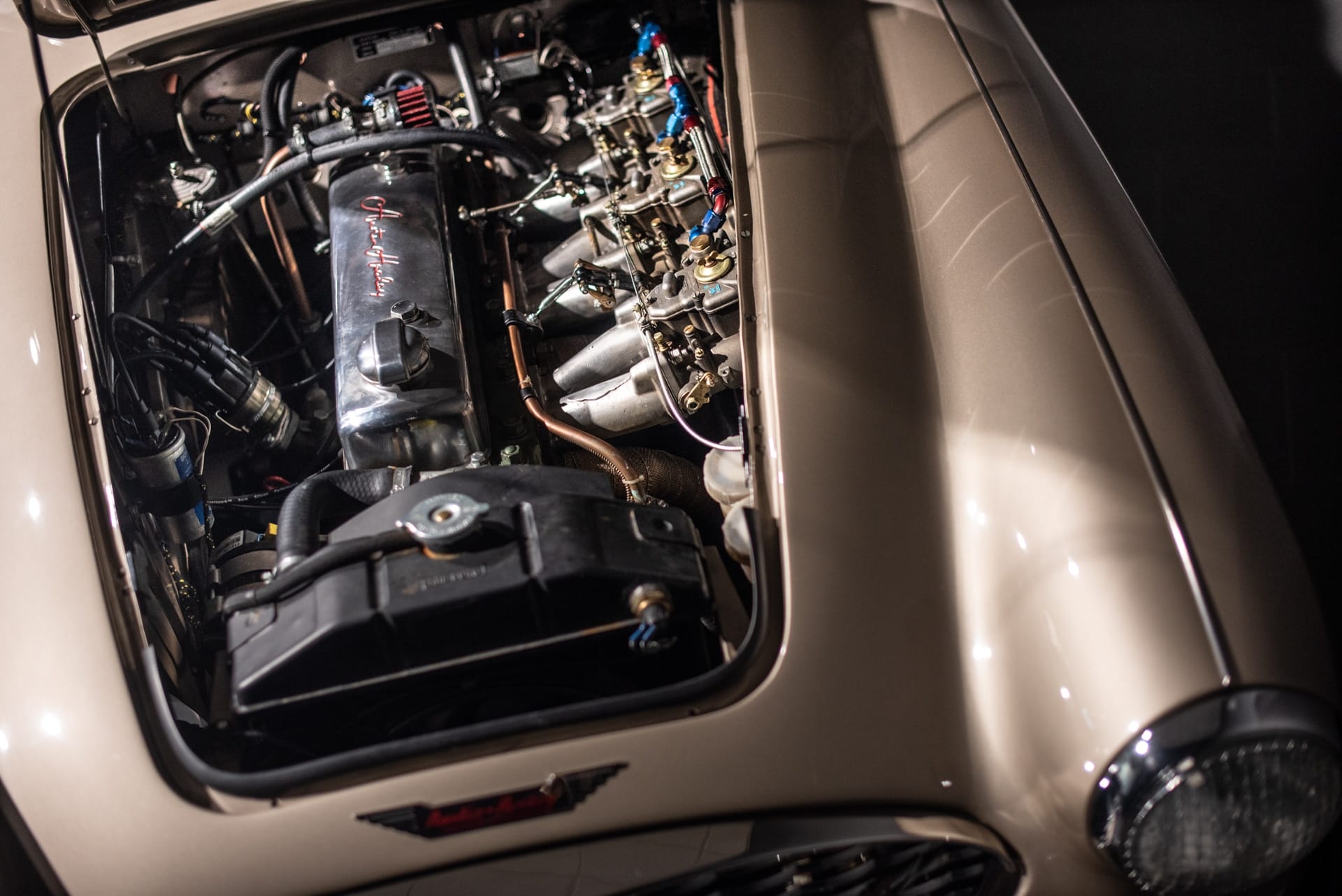 Austin-Healey 3000 Mk I BT7 - Photo 31